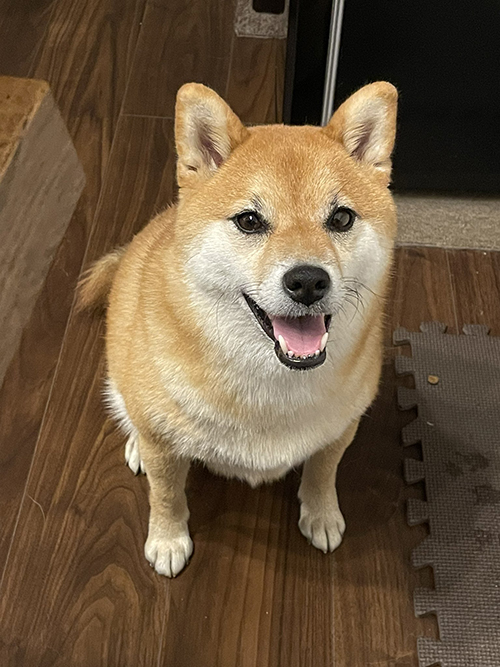 笑顔のいちちゃん