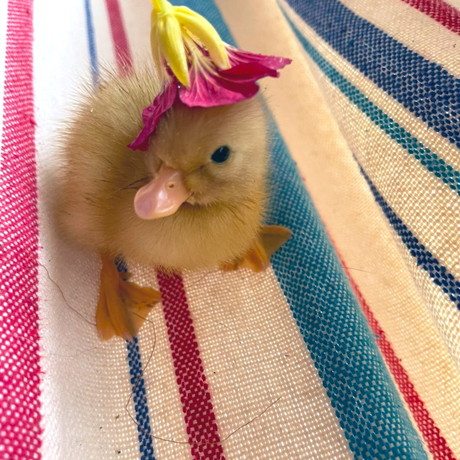 小さいころ