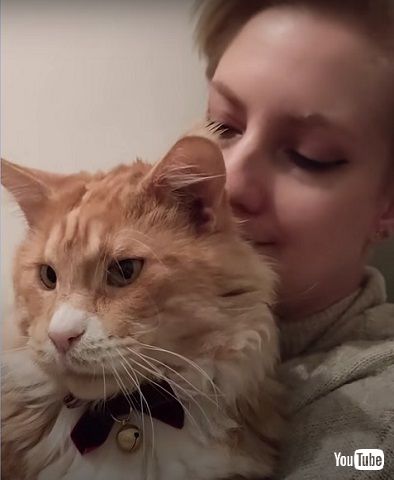 甘えん坊になった猫