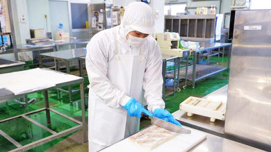 敦賀の名物駅弁 元祖鯛鮨