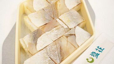 敦賀の名物駅弁 元祖鯛鮨