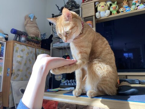 おすすめ