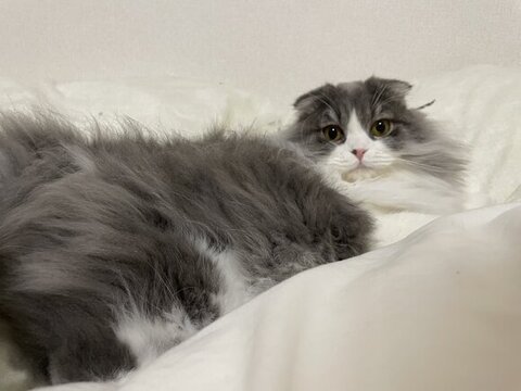 布団でリラックス