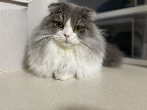 クローゼットのイヴくん