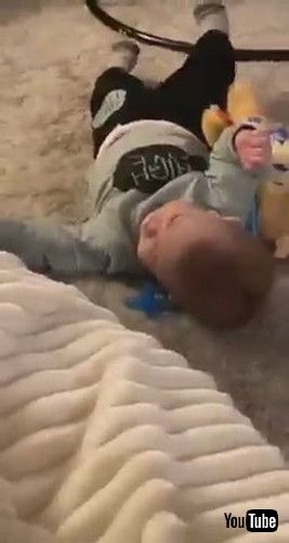 「Baby Falls Over While Petting Dog - 1291102」