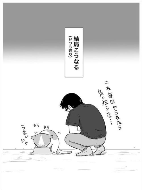負ける飼い主