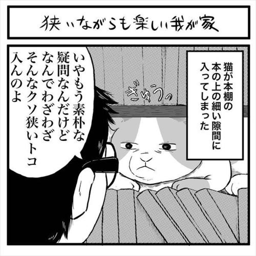 おすすめ