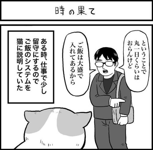 出かける飼い主
