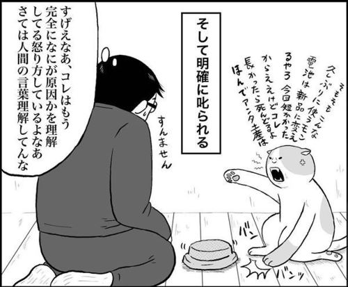 飼い主に説教する猫