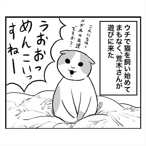 友人に人懐っこい猫