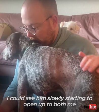 慣れてきた保護犬