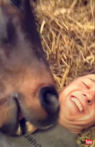 腕枕をしてもらうお馬さん