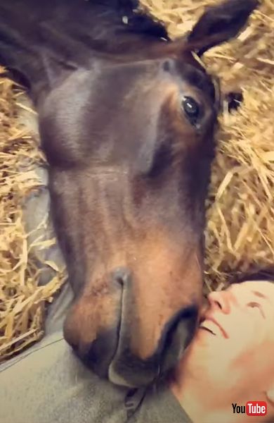 腕枕をしてもらうお馬さん