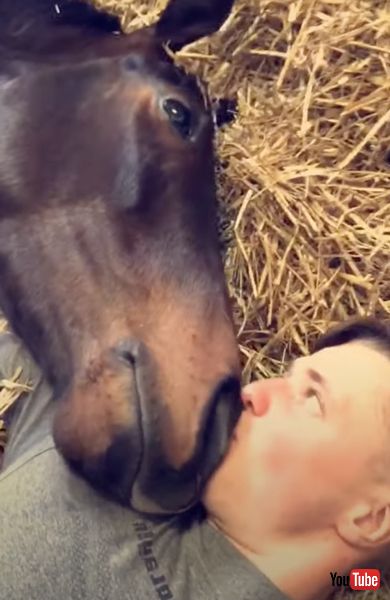 腕枕をしてもらうお馬さん