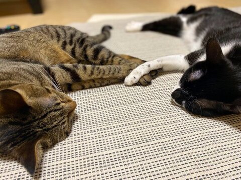 前手を添え合う