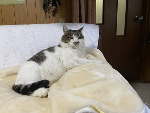 リラックスしてるケンジ