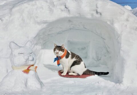 カマクラとケンジ