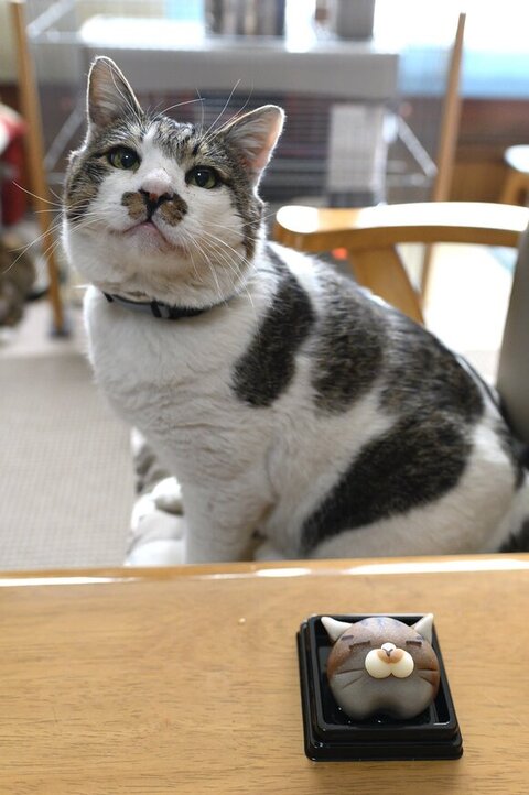 和菓子とケンジ