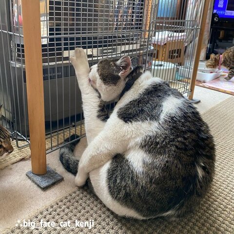 ストーブとケンジ