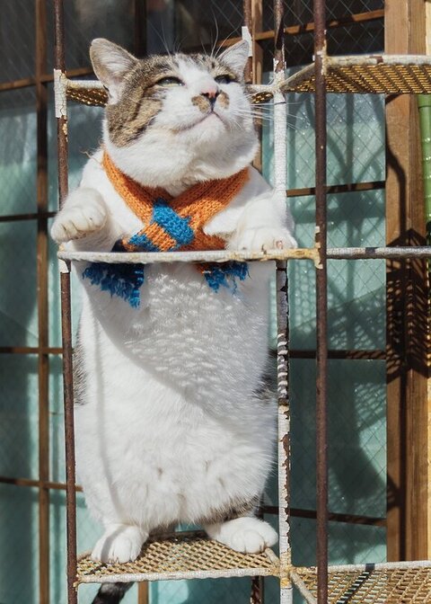 立って外みるケンジ