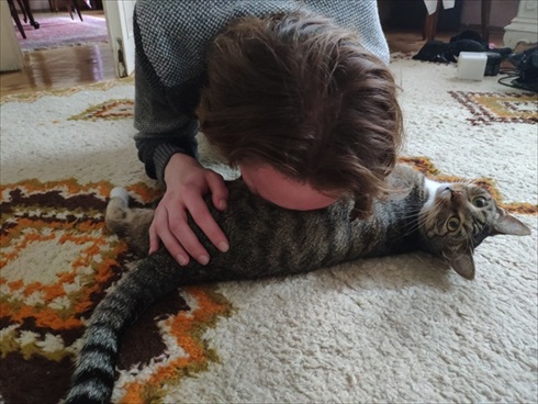 ジョージアの猫さん