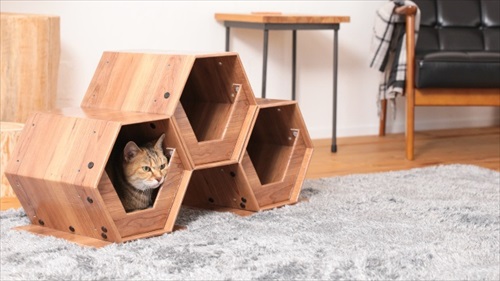 catcube