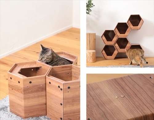 catcube