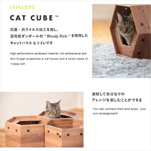 catcube