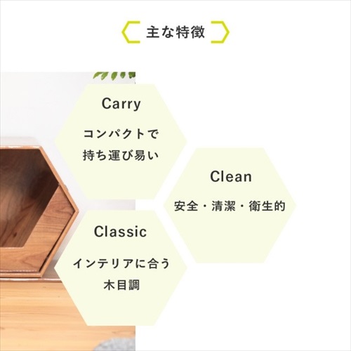 catcube