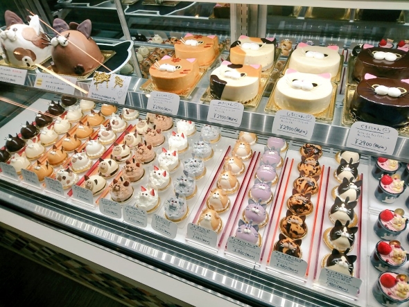 ショーケースにずらりと並んだケーキ