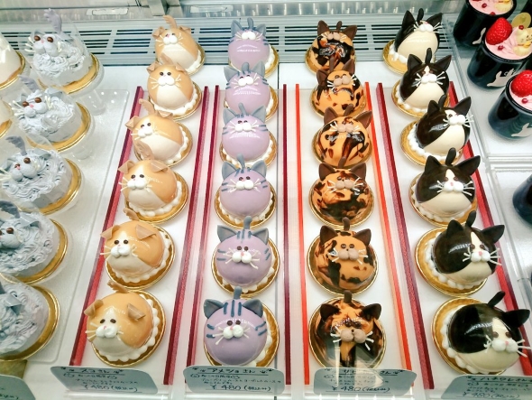 かわいいねこケーキ