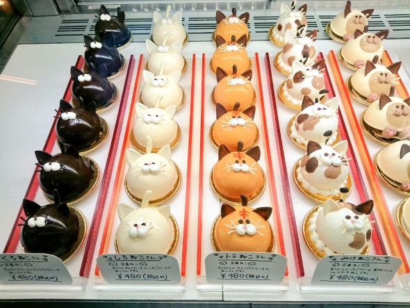 愛猫家　クッキー