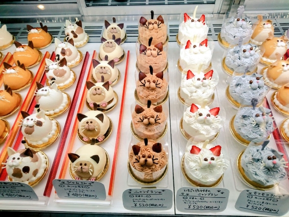 愛猫家　クッキー