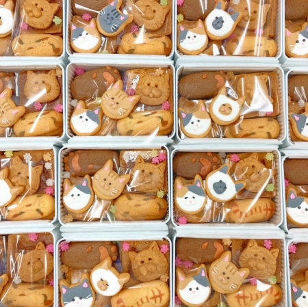 愛猫家　クッキー