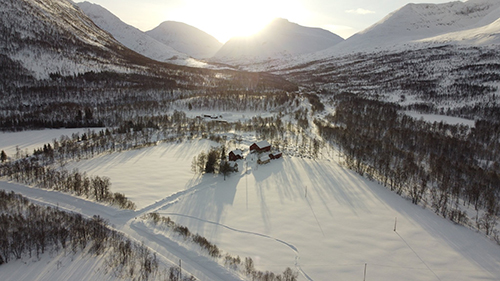 投稿主さんのお家周り