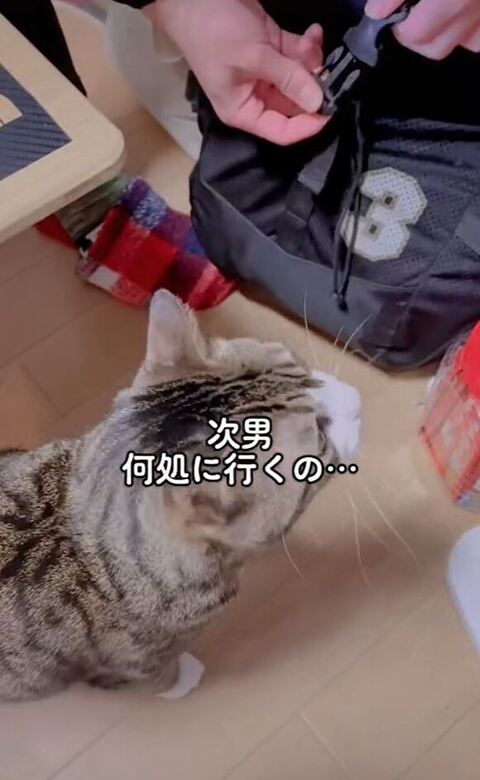 荷物を見る球太くん