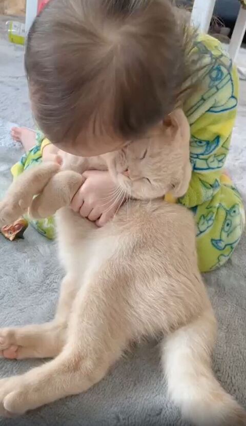 スリスリされるもふるん