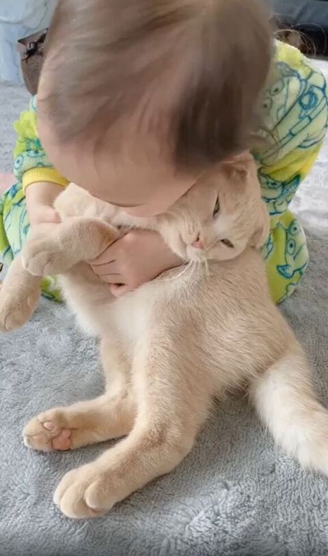 こちらを見るもふるん