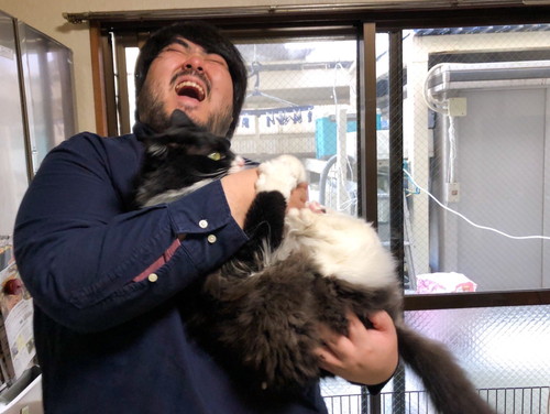 澤部さんと猫ちゃん