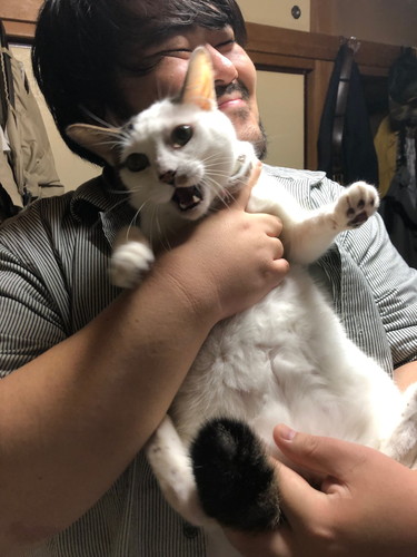 澤部さんと猫ちゃん