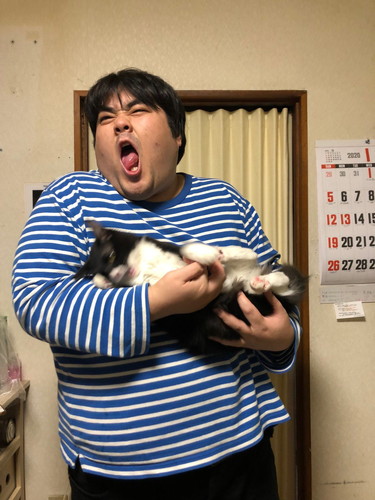 澤部さんと猫ちゃん