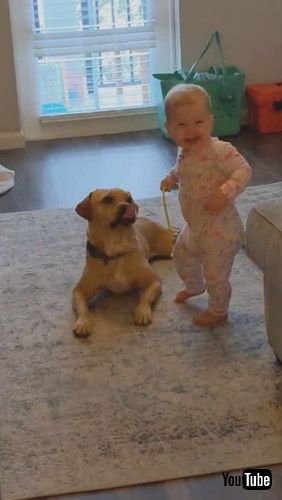 「Toddler Receives Kisses From Dog While Playing Doctor With Him - 1281470」