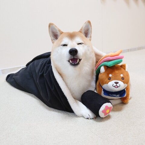 恵方巻になるチャーミーちゃん