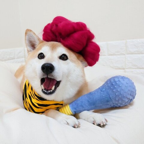 鬼のコスプレチャーミーちゃん