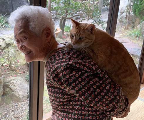 笑顔のおばあちゃんと猫