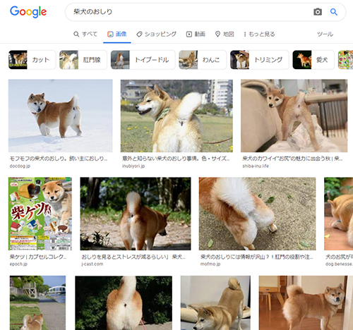 Google検索結果