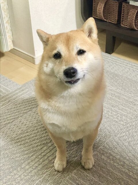 ため息つくこじろうくん