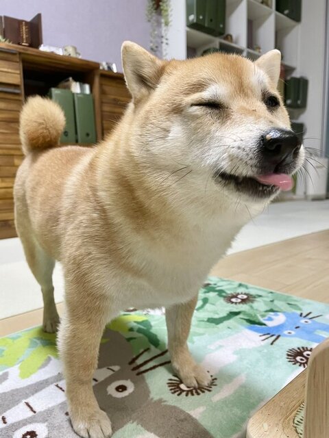 小さいときのふたりが手をつないで寝てる