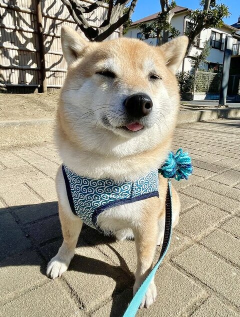 微笑むこじろうくん