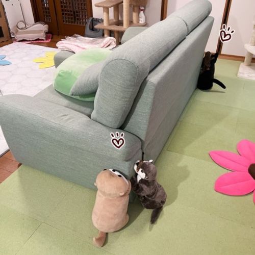 ソファで爪とぎ対策